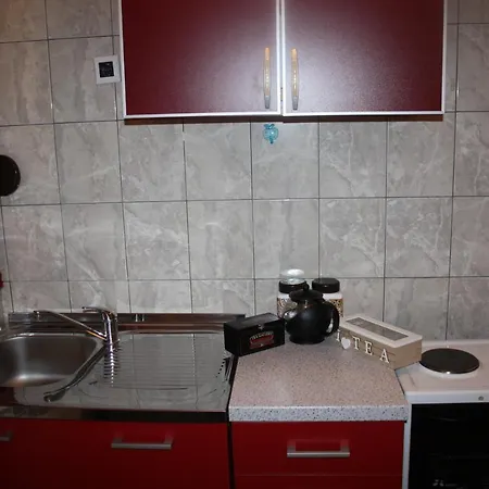 Apartment Nikitovic Zabljak  Exterior photo